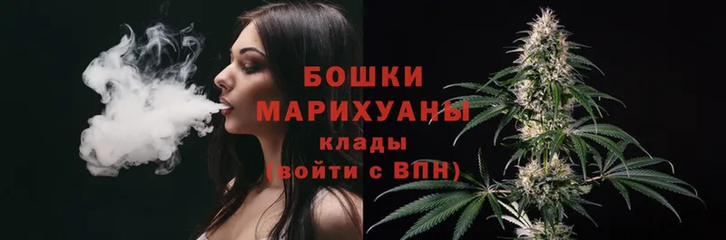 наркота  Богданович  Бошки марихуана Amnesia 